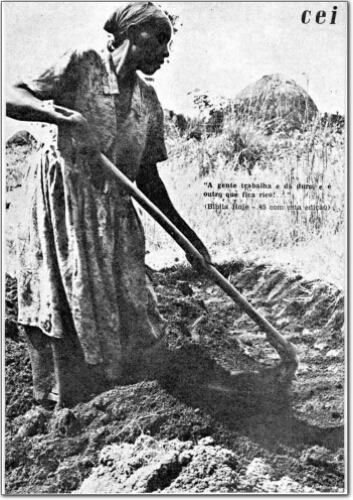 Boletim do CEI (n. 135, fev. 1978.)