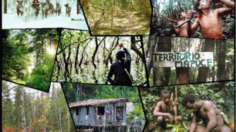 1893yearforestcampaignchjpg-22537e69e436143