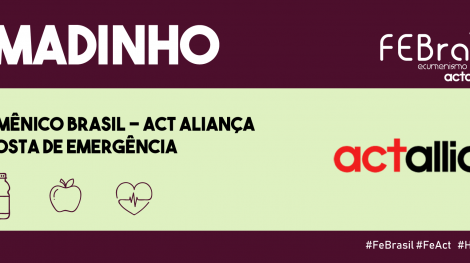 Banner-brumadinho-feact-site