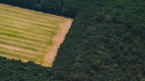 Imagem do WhatsApp de 2025-07-14 à(s) 18.00.40_8b603e4f