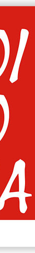 cropped-logo-kn.jpg
